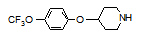 4-(4-Trifluoromethoxyphenoxy) piperidine 
